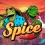 스파이스(Spice), 거북 갱단의 도시 범죄극과 15,000배 슬롯