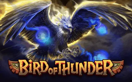 BIRD 오브 썬더 대표 이미지