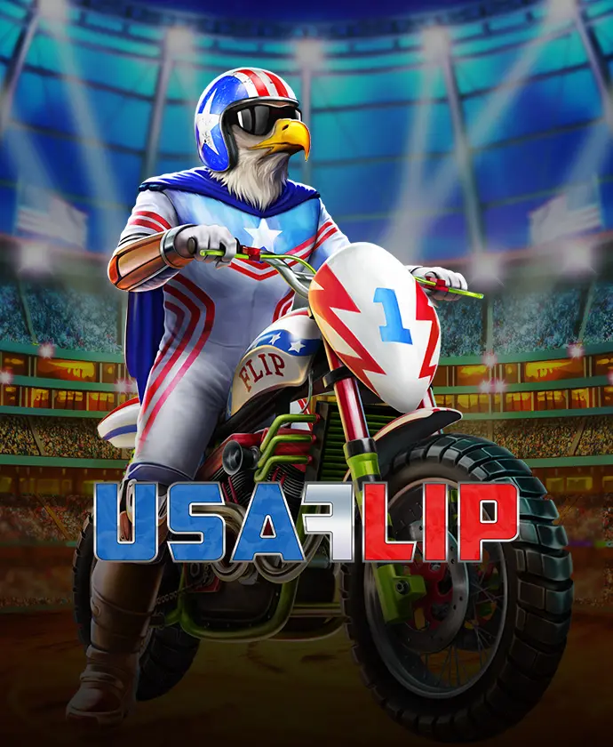 USA 플립 대표 이미지