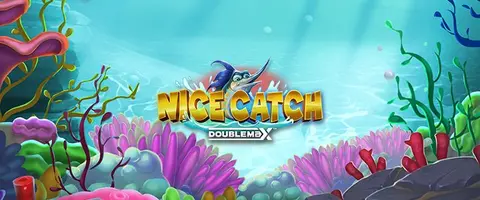나이스 캐치 DoubleMax™ 대표 이미지